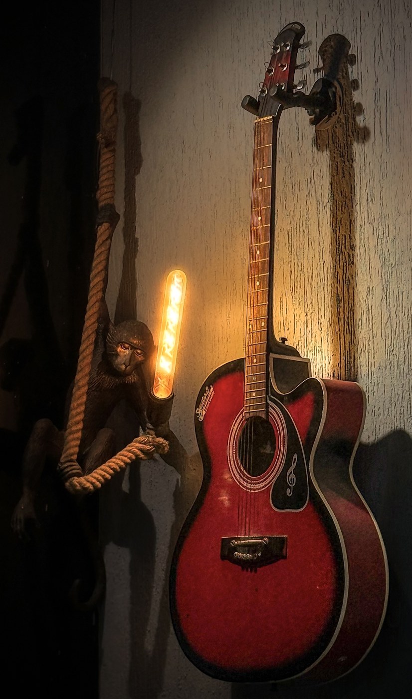 Guitar & Light — Still Life · Moody photograph by Sehajveer Singh
